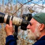 Фотограф снимает птиц в лесу