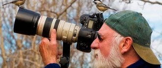 Фотограф снимает птиц в лесу